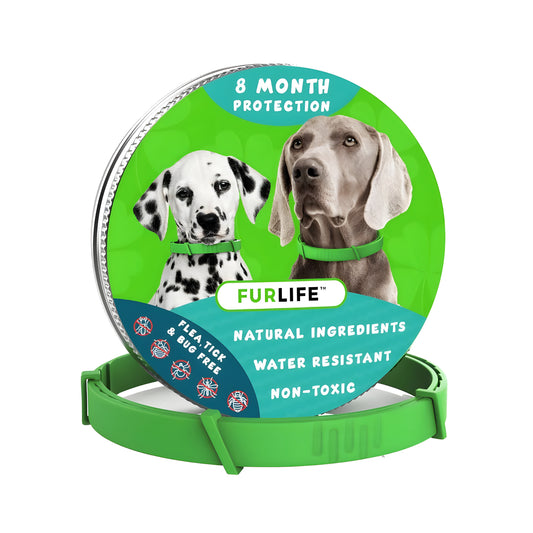FurLife™ | Collare Anti-pulci e zecche per 8 mesi ininterrotti